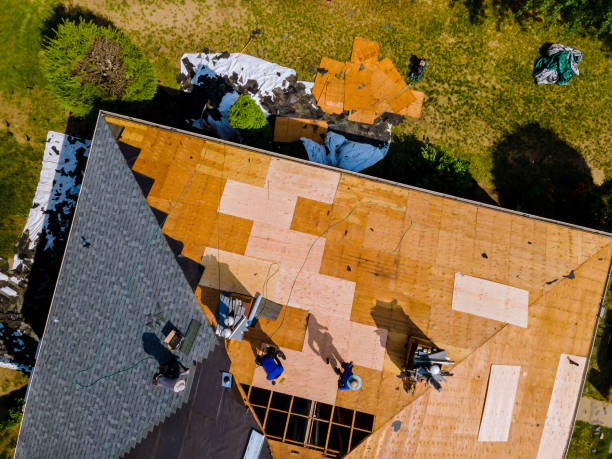 Best Metal Roofing Contractor  in Lazy Mountain, AK