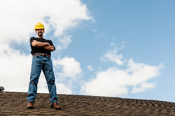 Best Metal Roofing Contractor  in Lazy Mountain, AK