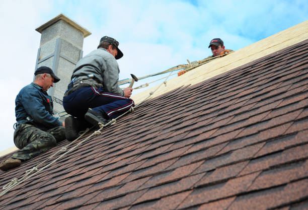 Best Local Roofing Companies  in Lazy Mountain, AK