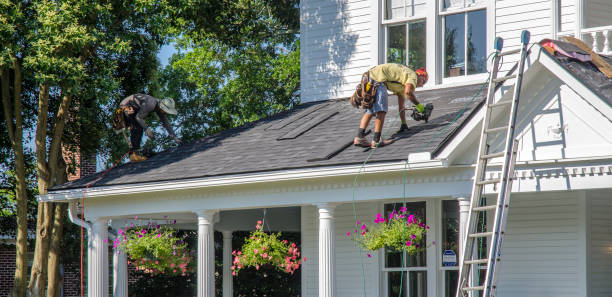 Best Roof Maintenance Services  in Lazy Mountain, AK